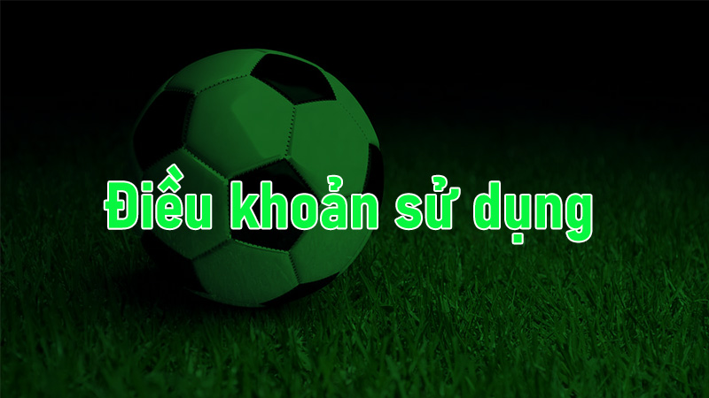 Điều khoản sử dụng